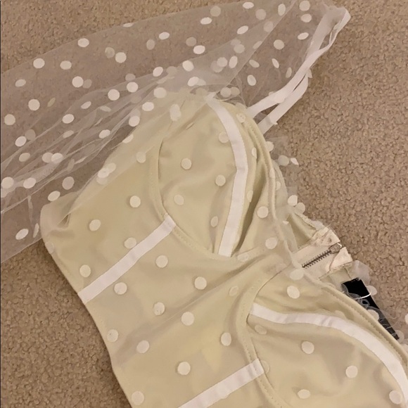 Dotted Mesh Crop Top - Picture 3 of 3